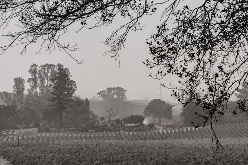 West Coast Vineyard Smoke Exposure